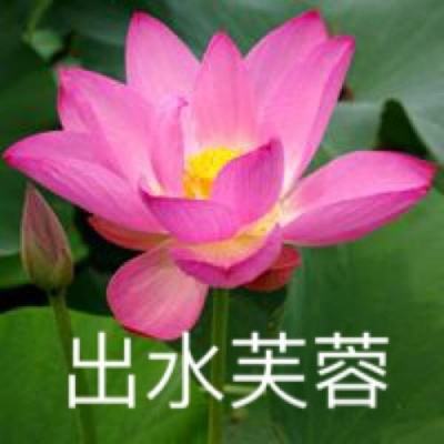 御剑决gm版下载